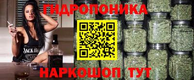 мяу мяу мука Комсомольск-на-Амуре