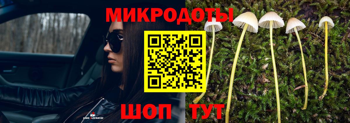 Галлюциногенные грибы мухоморы  Вход с VPN  Кизилюрт  Галлюциногенные грибы Psilocybe 